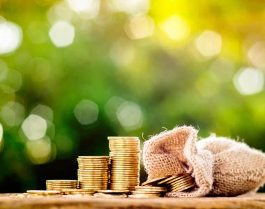 Vrednost zlatnika od 100 evra