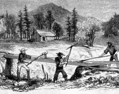 Kalifornijska zlatna groznica